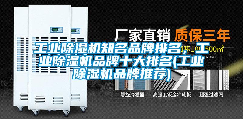 工業除濕機知名品牌排名，工業除濕機品牌十大排名(工業除濕機品牌推薦)