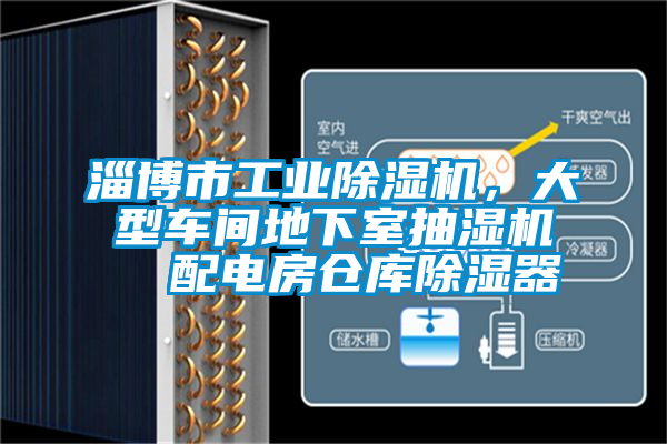 淄博市工業除濕機，大型車間地下室抽濕機  配電房倉庫除濕器