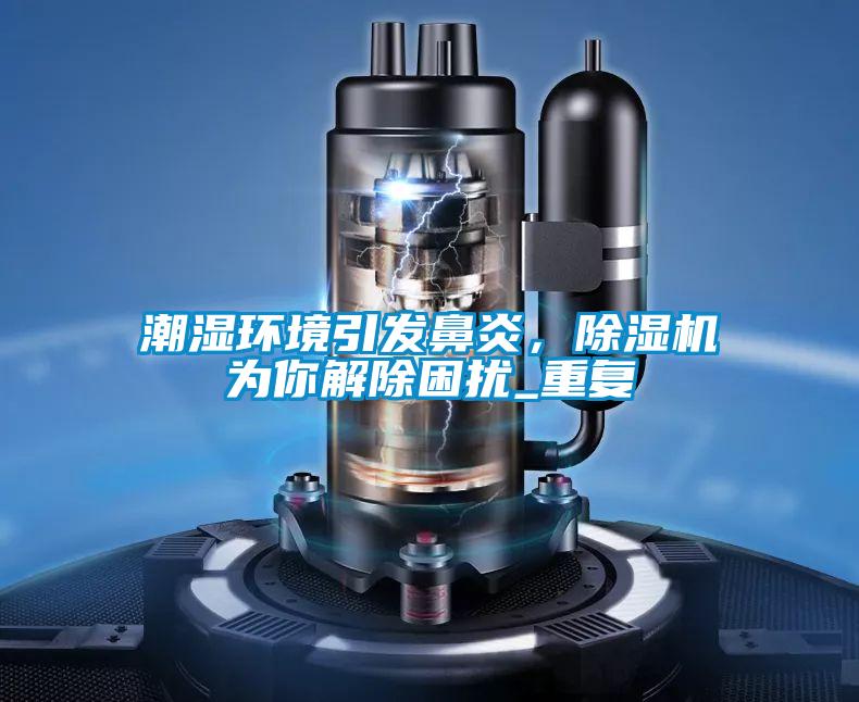 潮濕環境引發鼻炎，除濕機為你解除困擾_重復