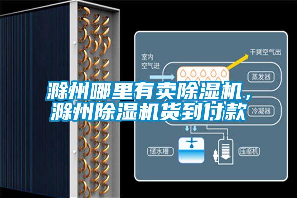 滁州哪里有賣除濕機，滁州除濕機貨到付款