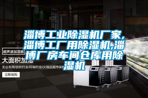 淄博工業除濕機廠家,淄博工廠用除濕機,淄博廠房車間倉庫用除濕機
