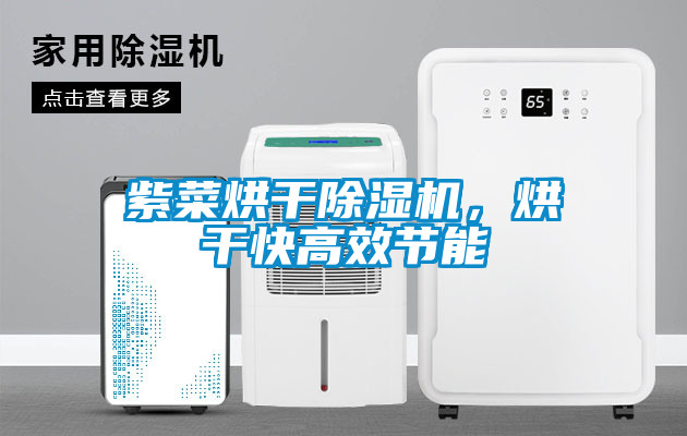 紫菜烘干除濕機，烘干快高效節能