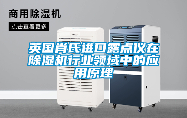 英國肖氏進口露點儀在除濕機行業領域中的應用原理