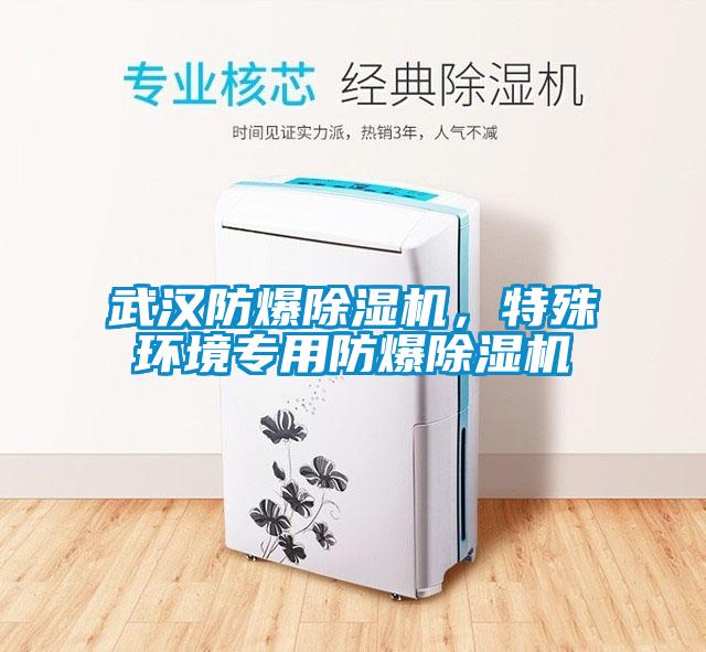 武漢防爆除濕機，特殊環境專用防爆除濕機