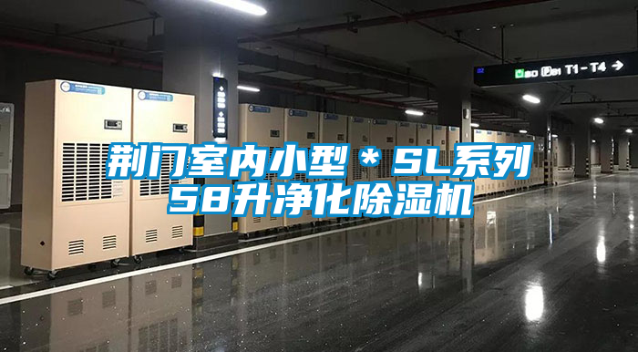 荊門室內小型＊SL系列58升凈化除濕機