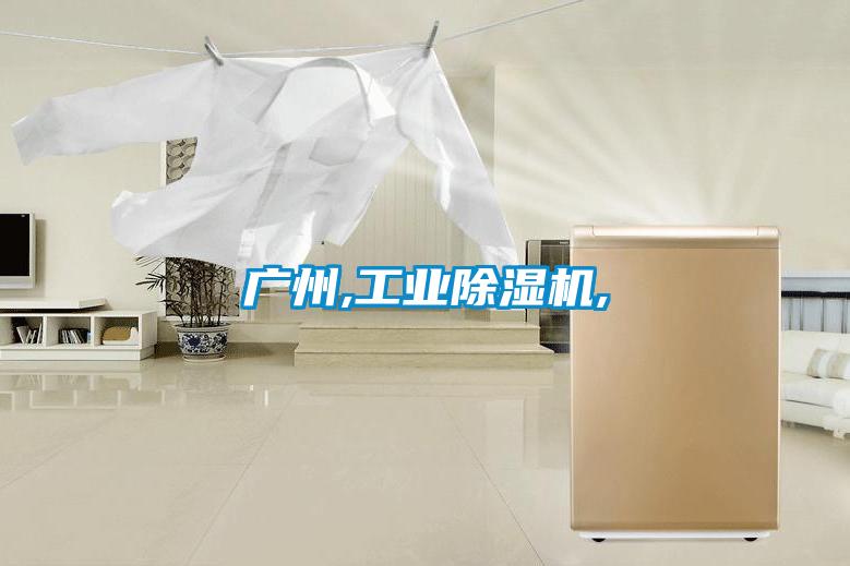 廣州,工業除濕機,