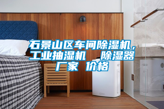 石景山區車間除濕機，工業抽濕機  除濕器廠家 價格