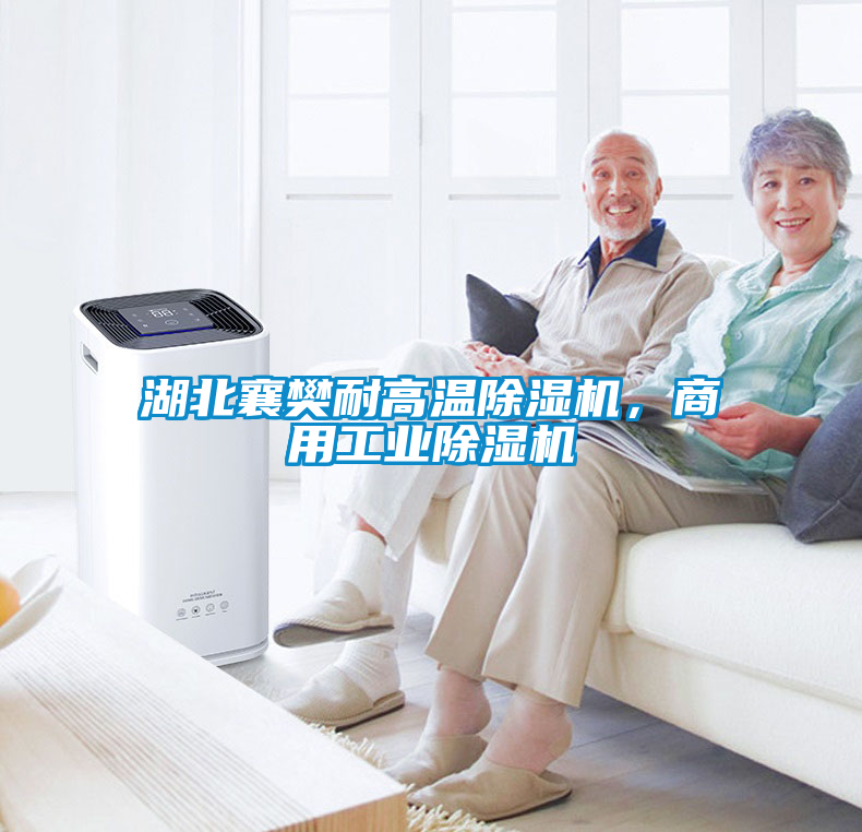 湖北襄樊耐高溫除濕機，商用工業除濕機