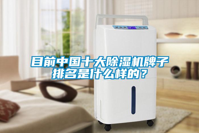 目前中國十大除濕機牌子排名是什么樣的？
