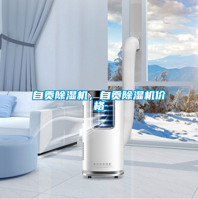 自貢除濕機，自貢除濕機價格