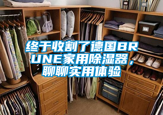 終于收割了德國BRUNE家用除濕器，聊聊實用體驗