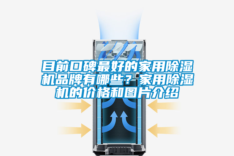 目前口碑最好的家用除濕機品牌有哪些？家用除濕機的價格和圖片介紹