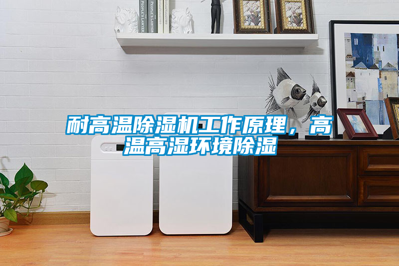 耐高溫除濕機工作原理，高溫高濕環境除濕