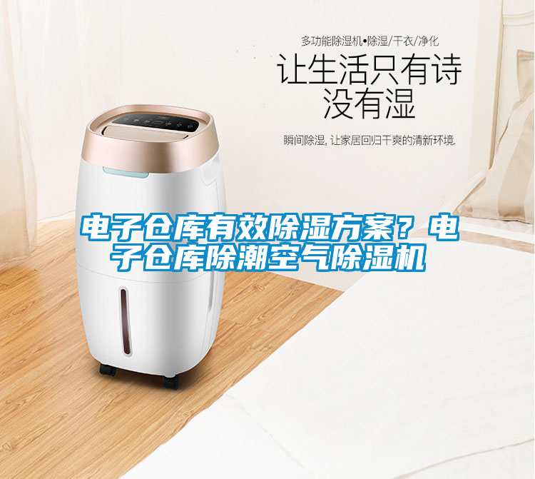 電子倉庫有效除濕方案？電子倉庫除潮空氣除濕機