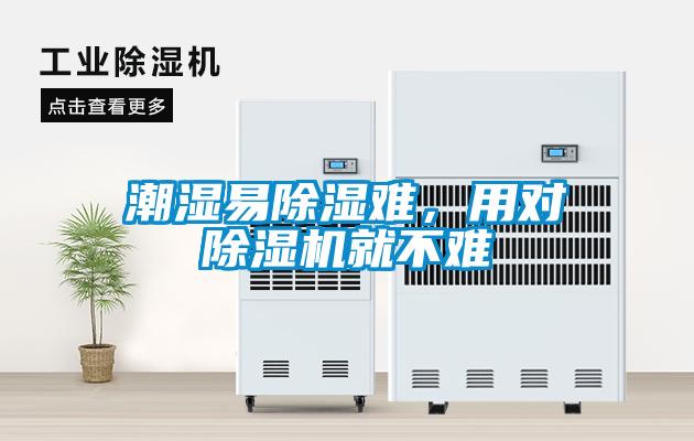 潮濕易除濕難，用對除濕機就不難