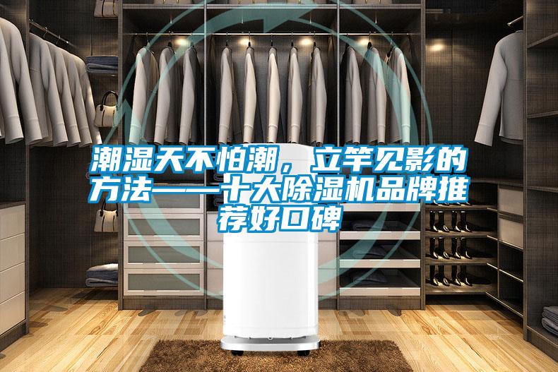 潮濕天不怕潮，立竿見影的方法——十大除濕機品牌推薦好口碑