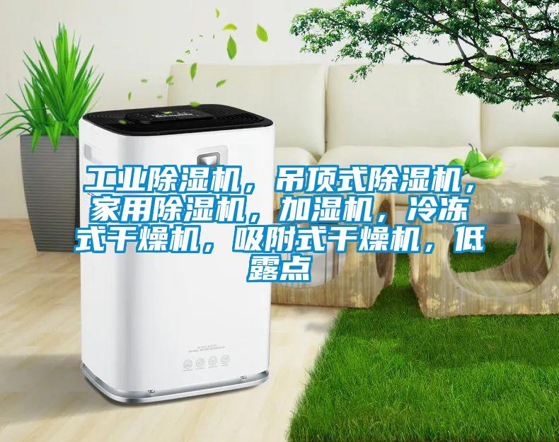 工業除濕機，吊頂式除濕機，家用除濕機，加濕機，冷凍式干燥機，吸附式干燥機，低露點