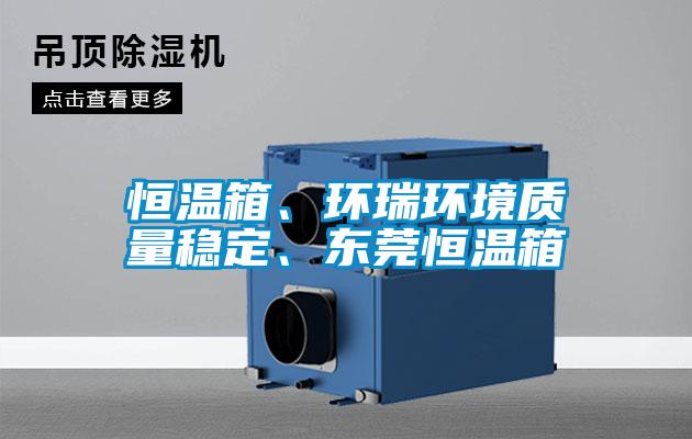 恒溫箱、環瑞環境質量穩定、東莞恒溫箱