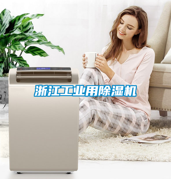 浙江工業用除濕機