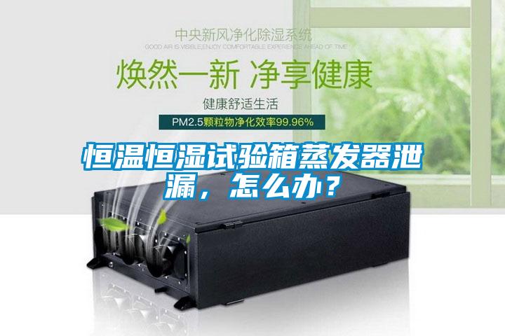 恒溫恒濕試驗箱蒸發器泄漏，怎么辦？