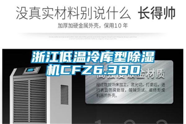 浙江低溫冷庫型除濕機CFZ6.3BD