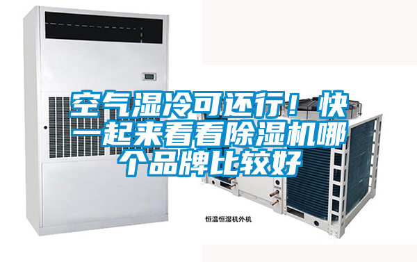 空氣濕冷可還行！快一起來看看除濕機哪個品牌比較好