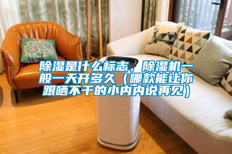 除濕是什么標志，除濕機一般一天開多久（哪款能讓你跟曬不干的小內內說再見）