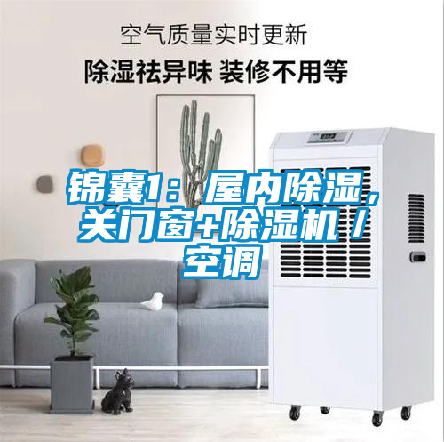 錦囊1：屋內除濕，關門窗+除濕機／空調