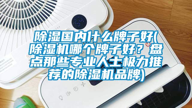 除濕國內什么牌子好(除濕機哪個牌子好？盤點那些專業人士極力推薦的除濕機品牌)