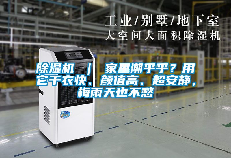 除濕機 ｜ 家里潮乎乎？用它干衣快、顏值高、超安靜，梅雨天也不愁