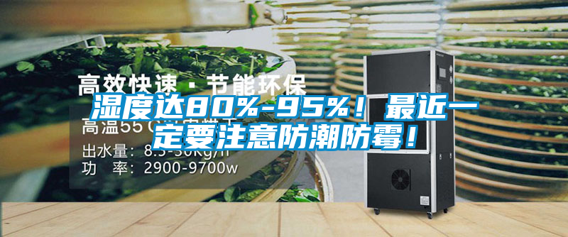 濕度達80%-95%！最近一定要注意防潮防霉！