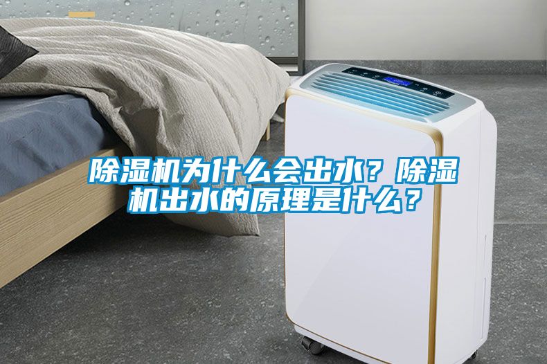除濕機為什么會出水？除濕機出水的原理是什么？