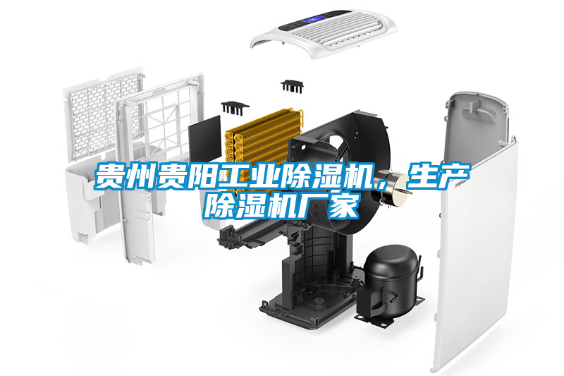 貴州貴陽工業除濕機，生產除濕機廠家
