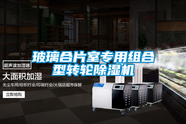 玻璃合片室專用組合型轉輪除濕機