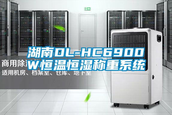 湖南DL-HC6900W恒溫恒濕稱重系統