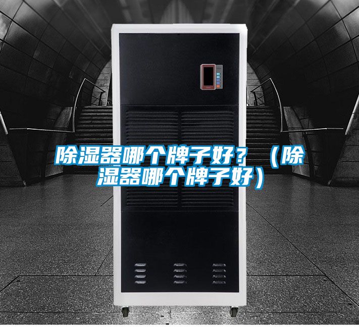 除濕器哪個牌子好？（除濕器哪個牌子好）
