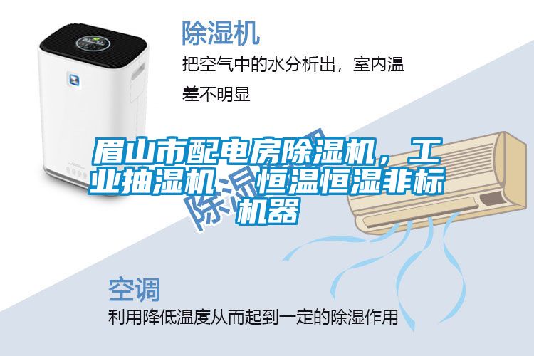 眉山市配電房除濕機，工業抽濕機  恒溫恒濕非標機器