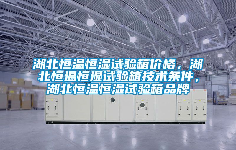 湖北恒溫恒濕試驗箱價格，湖北恒溫恒濕試驗箱技術條件，湖北恒溫恒濕試驗箱品牌