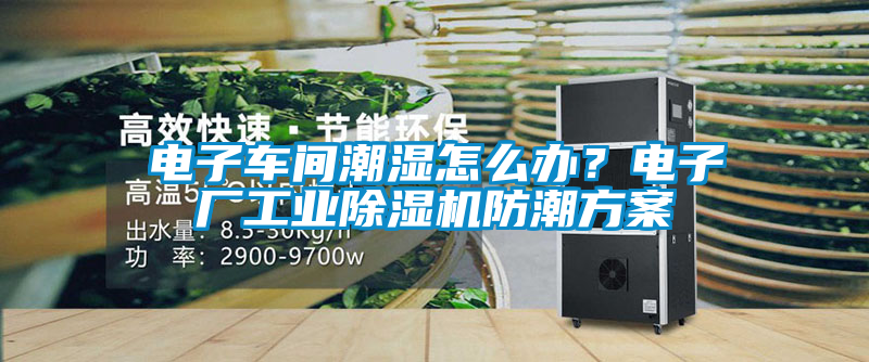 電子車間潮濕怎么辦？電子廠工業除濕機防潮方案