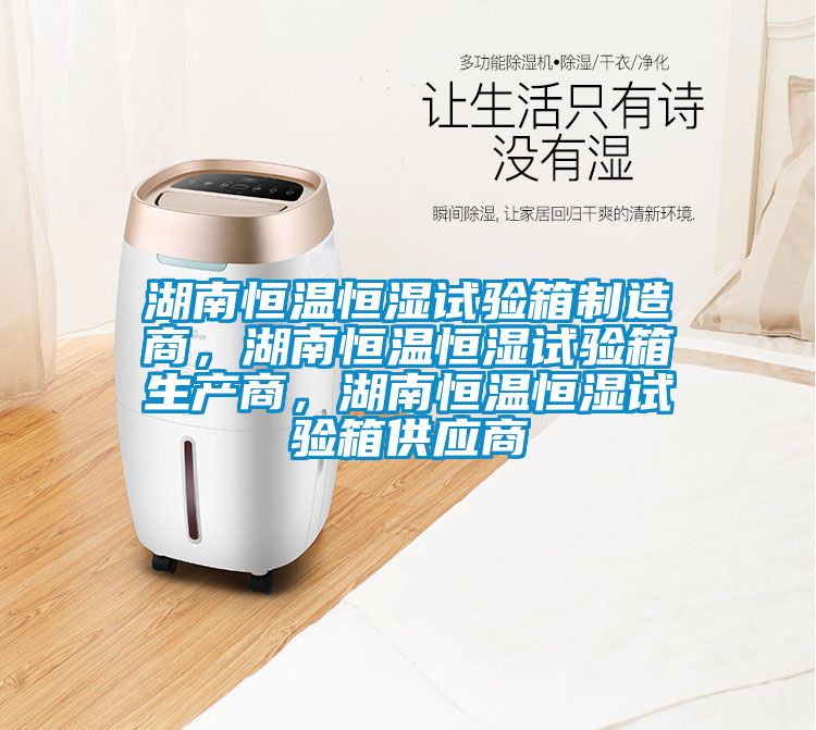 湖南恒溫恒濕試驗箱制造商，湖南恒溫恒濕試驗箱生產商，湖南恒溫恒濕試驗箱供應商