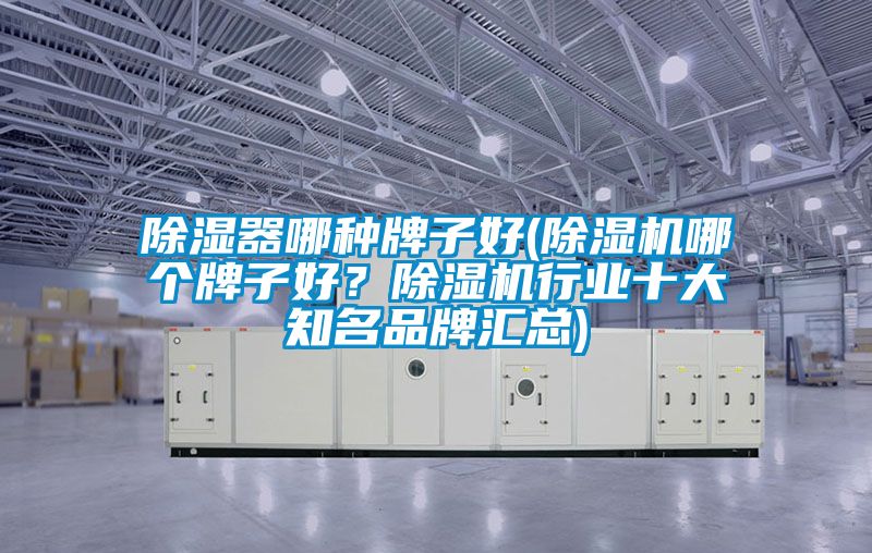 除濕器哪種牌子好(除濕機哪個牌子好？除濕機行業十大知名品牌匯總)