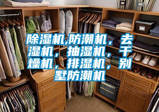 除濕機,防潮機，去濕機，抽濕機，干燥機，排濕機，別墅防潮機