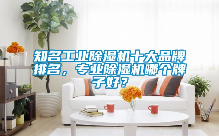知名工業除濕機十大品牌排名，專業除濕機哪個牌子好？
