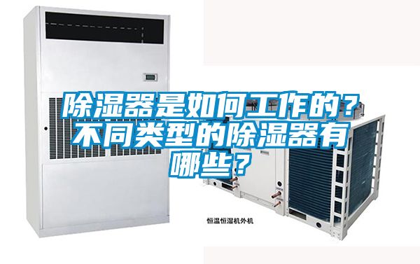 除濕器是如何工作的？不同類型的除濕器有哪些？