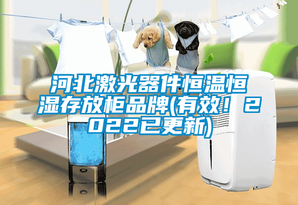 河北激光器件恒溫恒濕存放柜品牌(有效！2022已更新)