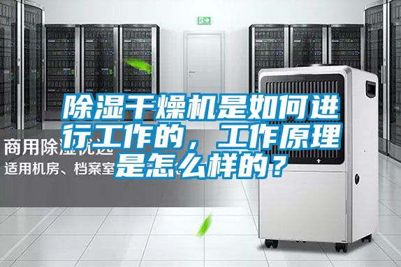 除濕干燥機是如何進行工作的，工作原理是怎么樣的？