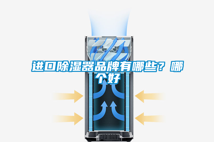 進口除濕器品牌有哪些？哪個好