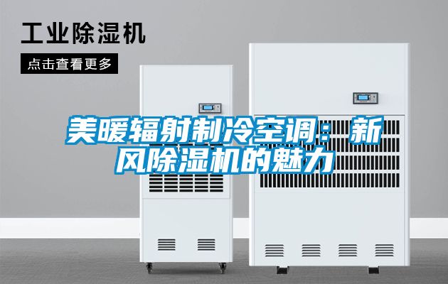 美暖輻射制冷空調：新風除濕機的魅力