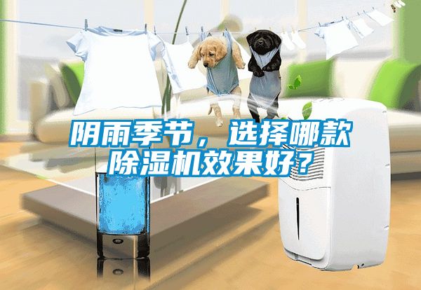 陰雨季節，選擇哪款除濕機效果好？