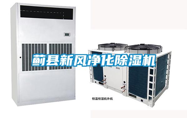 薊縣新風凈化除濕機